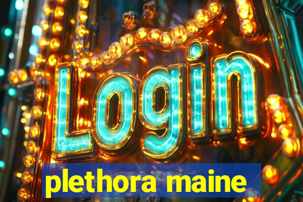 plethora maine